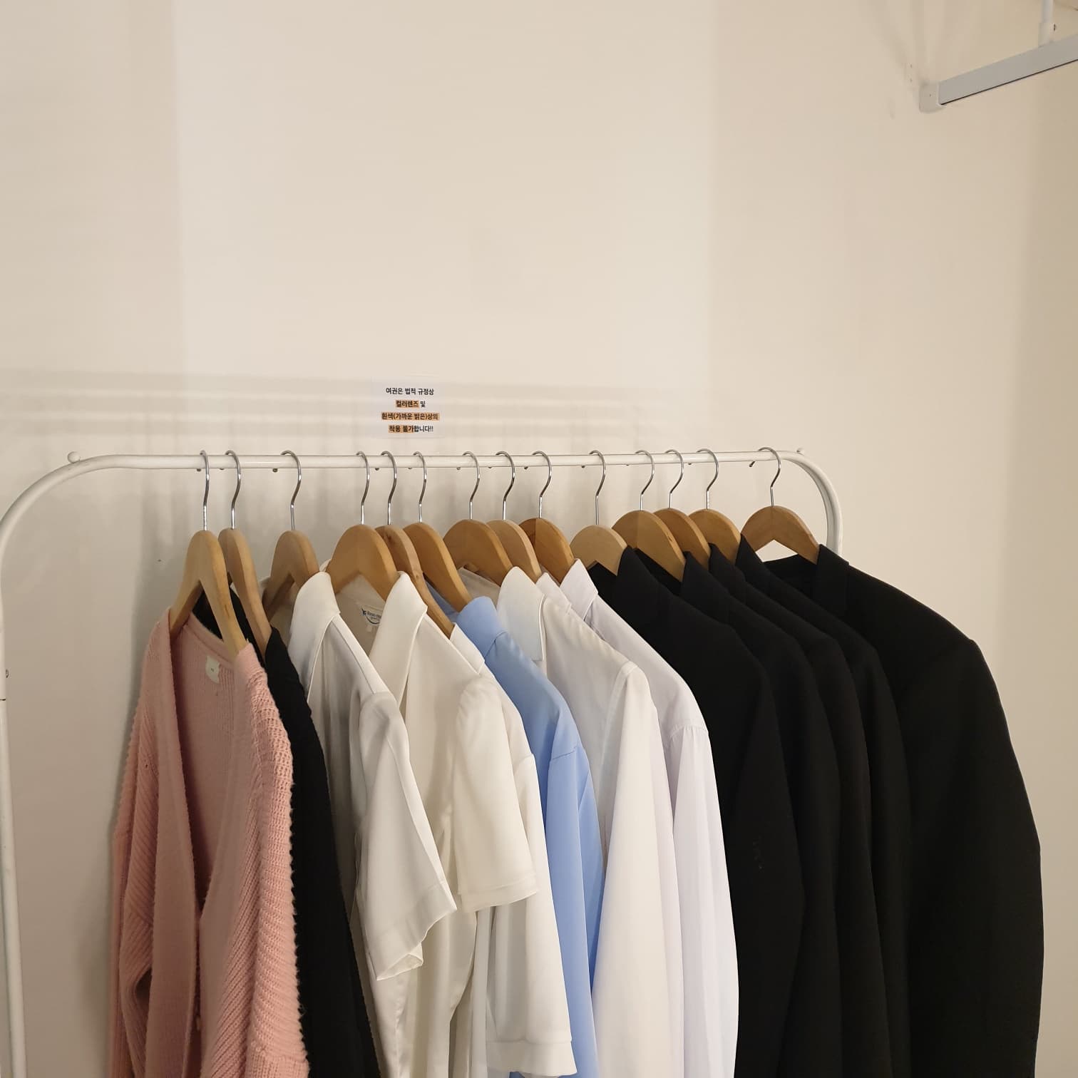 이력서 사진 배경 컬러 예시 4